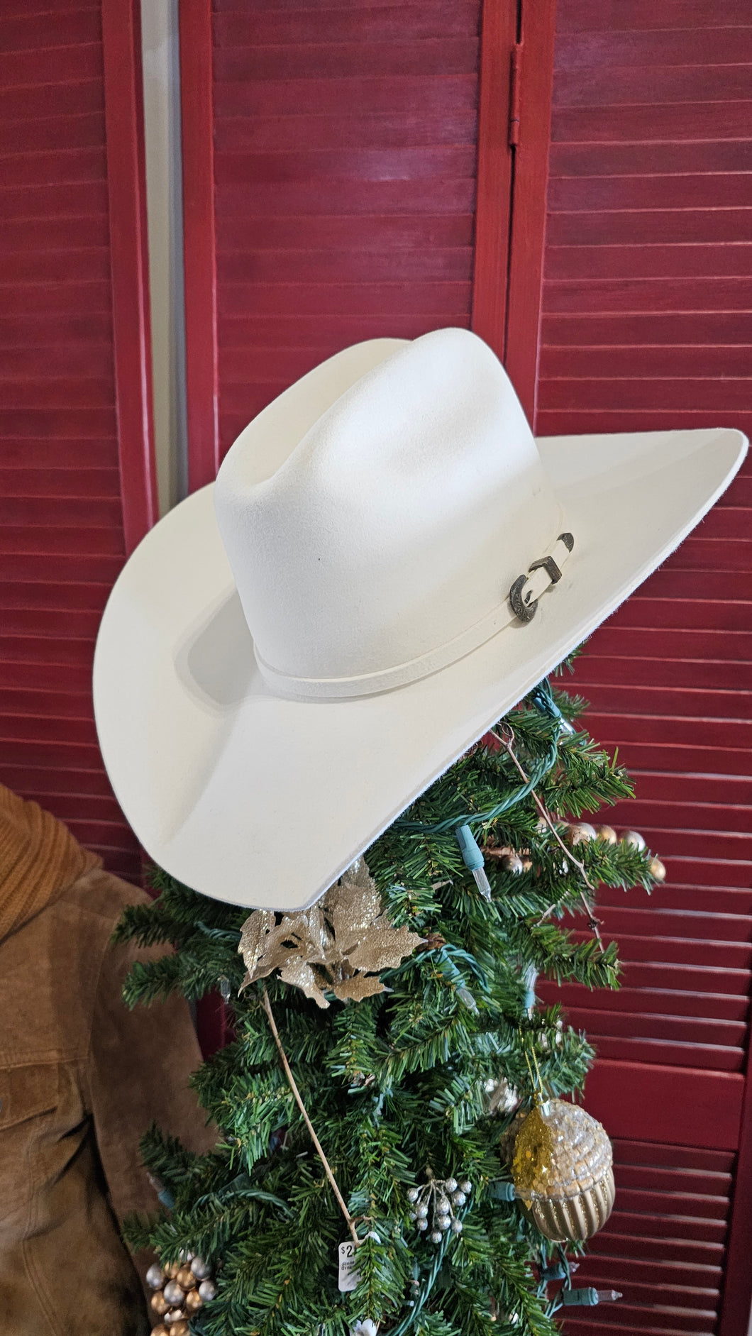 R Rodeo King White 7X Hat