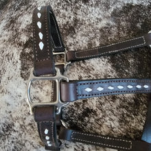 Full size New Ranch Halter Buckstitch